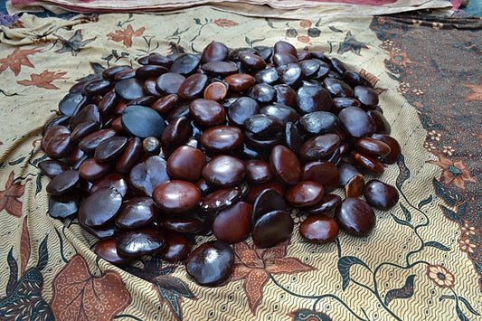 SEA HEART BEANS