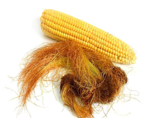 CORN SILK